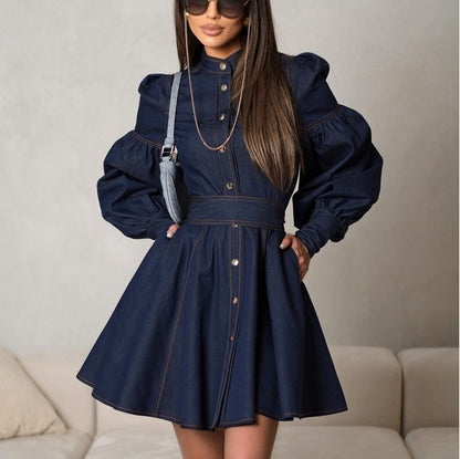 Elegant Denim Dress