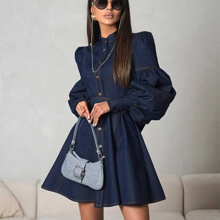Elegant Denim Dress